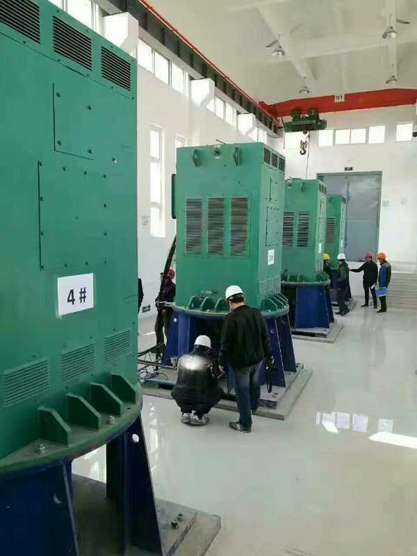 南吕镇某污水处理厂使用我厂的立式高压电机安装现场