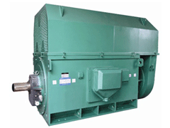南吕镇Y系列6KV高压电机
